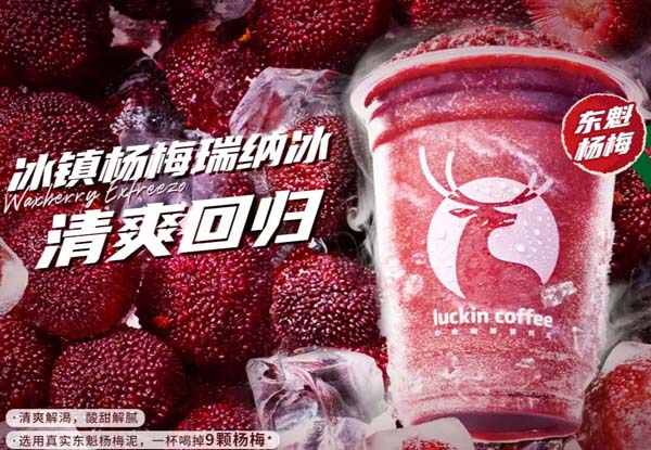 开一家瑞幸咖啡店要花多少钱？