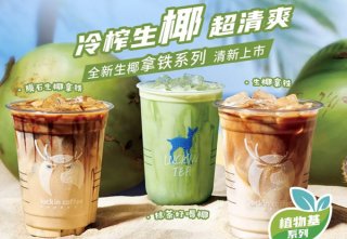 瑞幸咖啡店加盟手册，长沙瑞幸咖啡加盟费